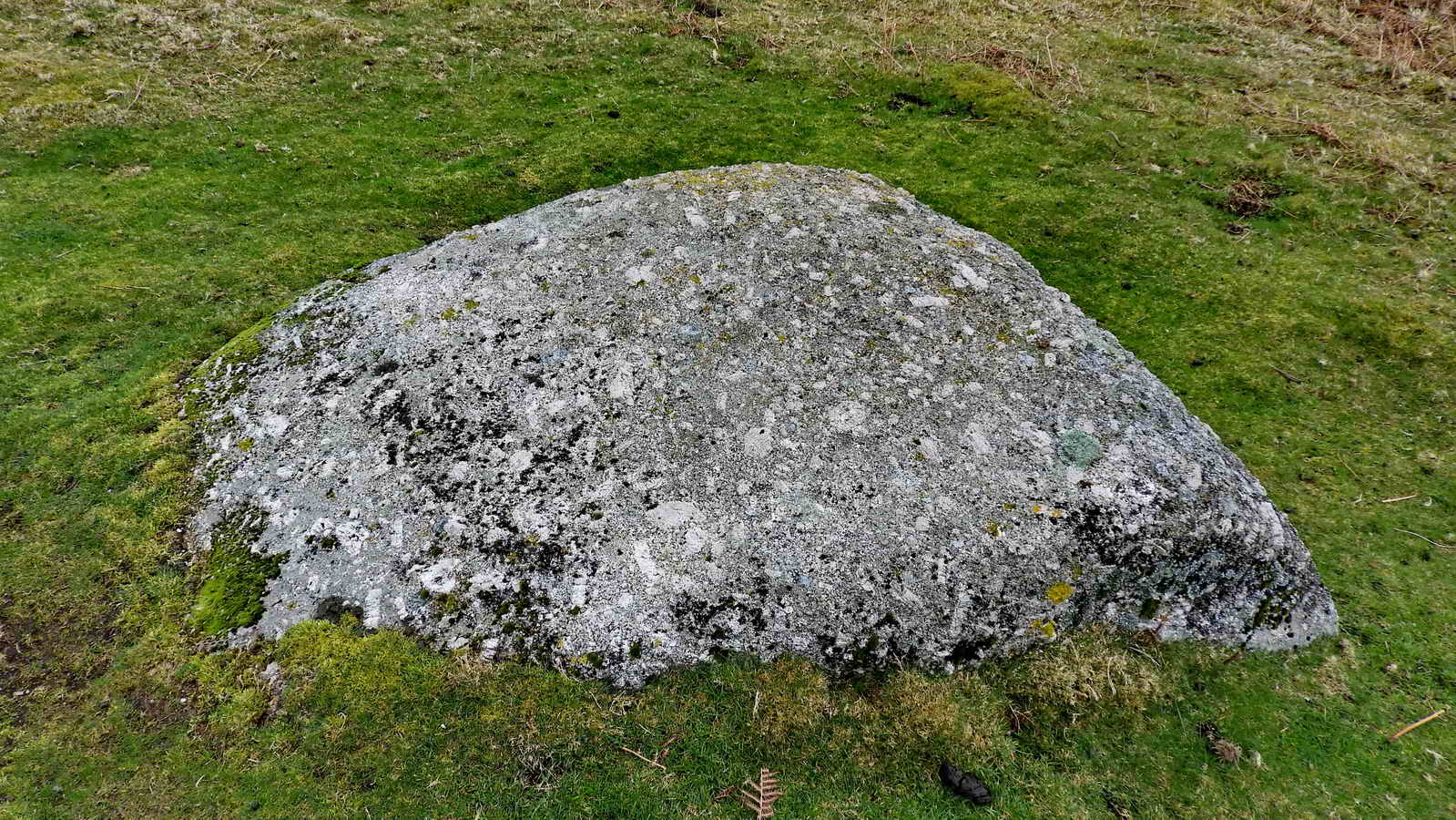 This is granite with a wide variety of large crystals