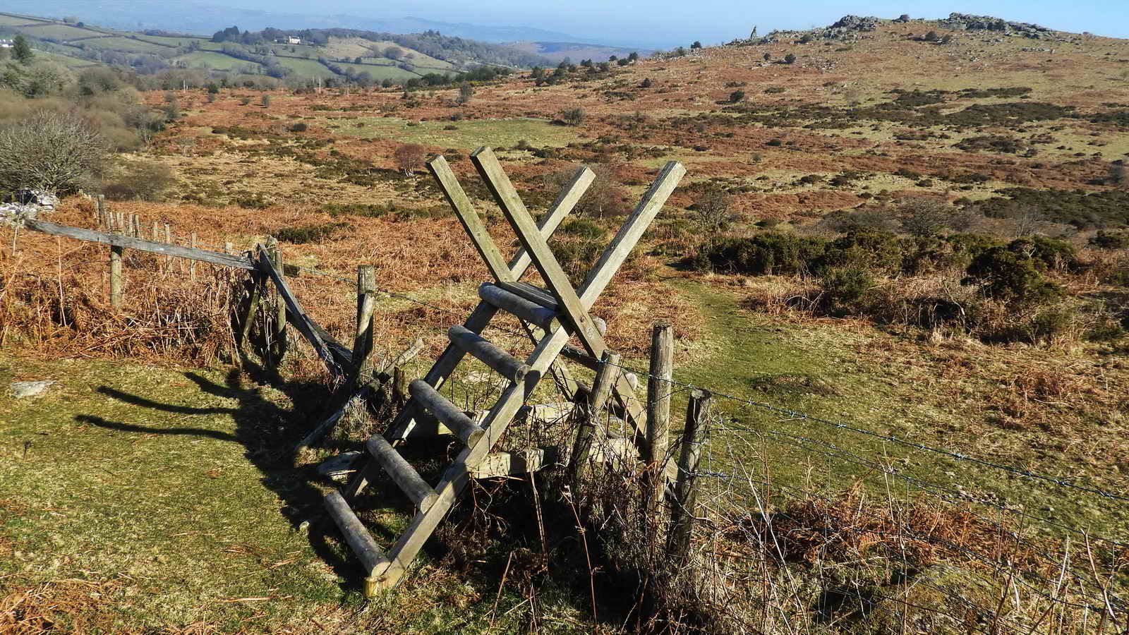 Ladder stile at SX 73608 80198, looking down the steep’ish, narrow footpath towards Bowerman’s Nose, which can be seen on the skyline