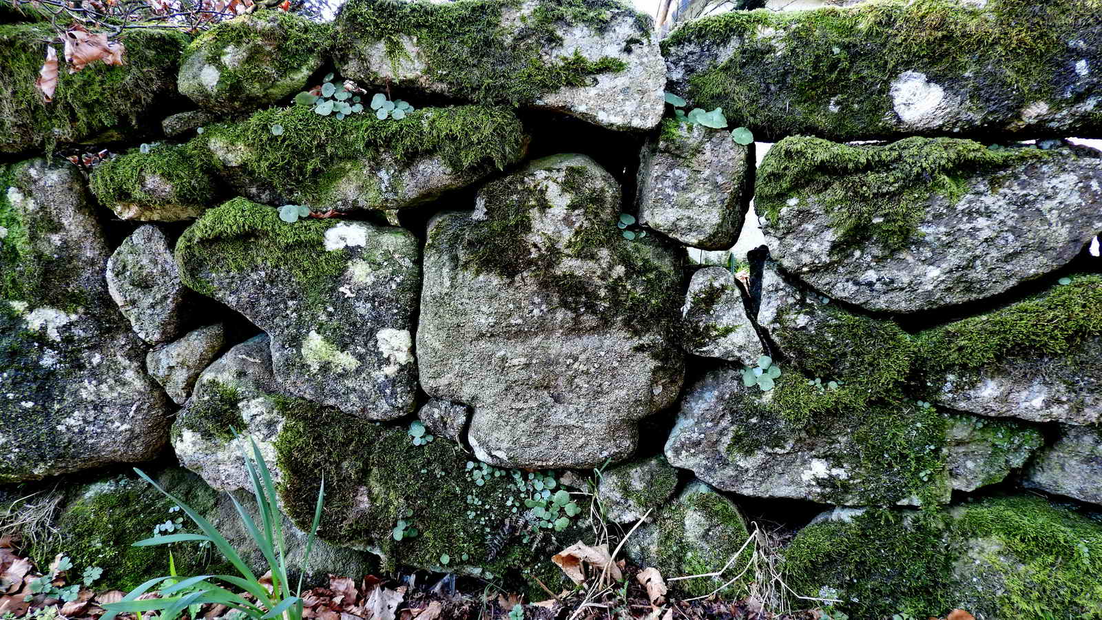 Swallerton Gate Cross - a mutilated medieval incised cross built into the garden wall in 1988 (Brewer, p.139)