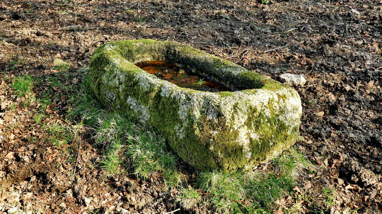 Granite water trough across the road from the cottage