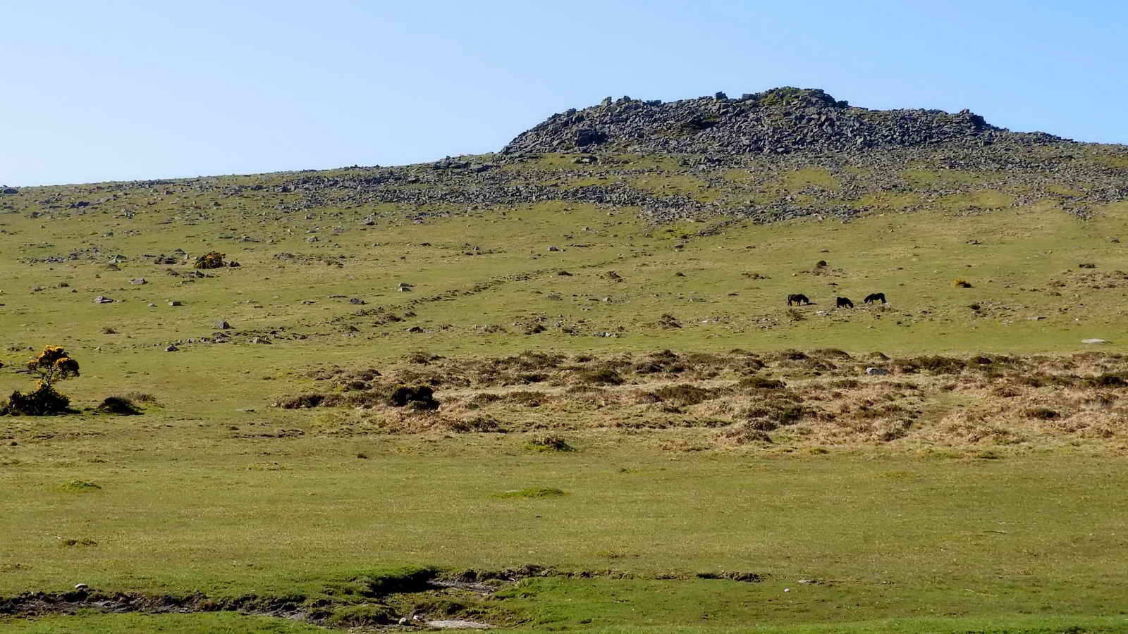 Looking South across the road to Sharpitor.