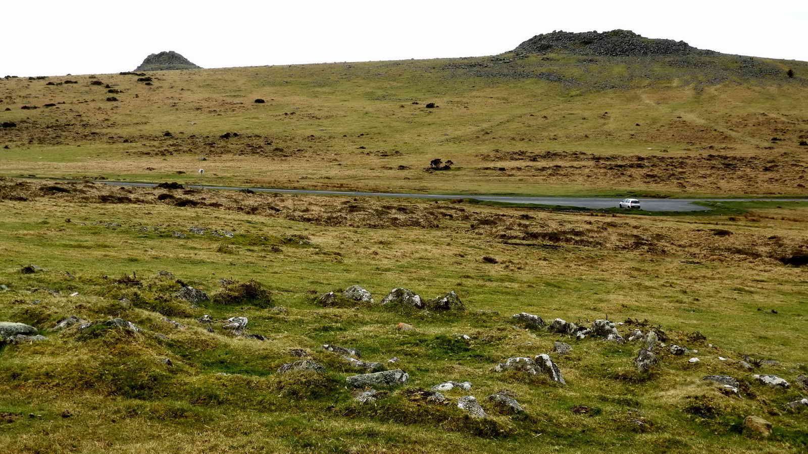 One of three small Bronze Age hut circles near to the road, again looking towards Sharpitor