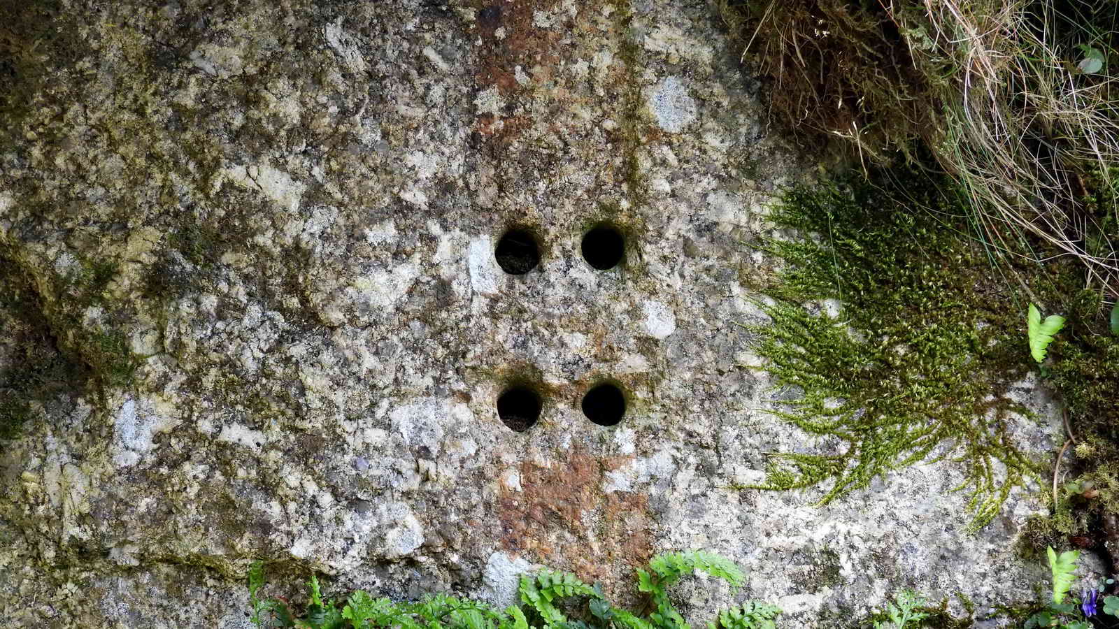 Closer view of the plate holes