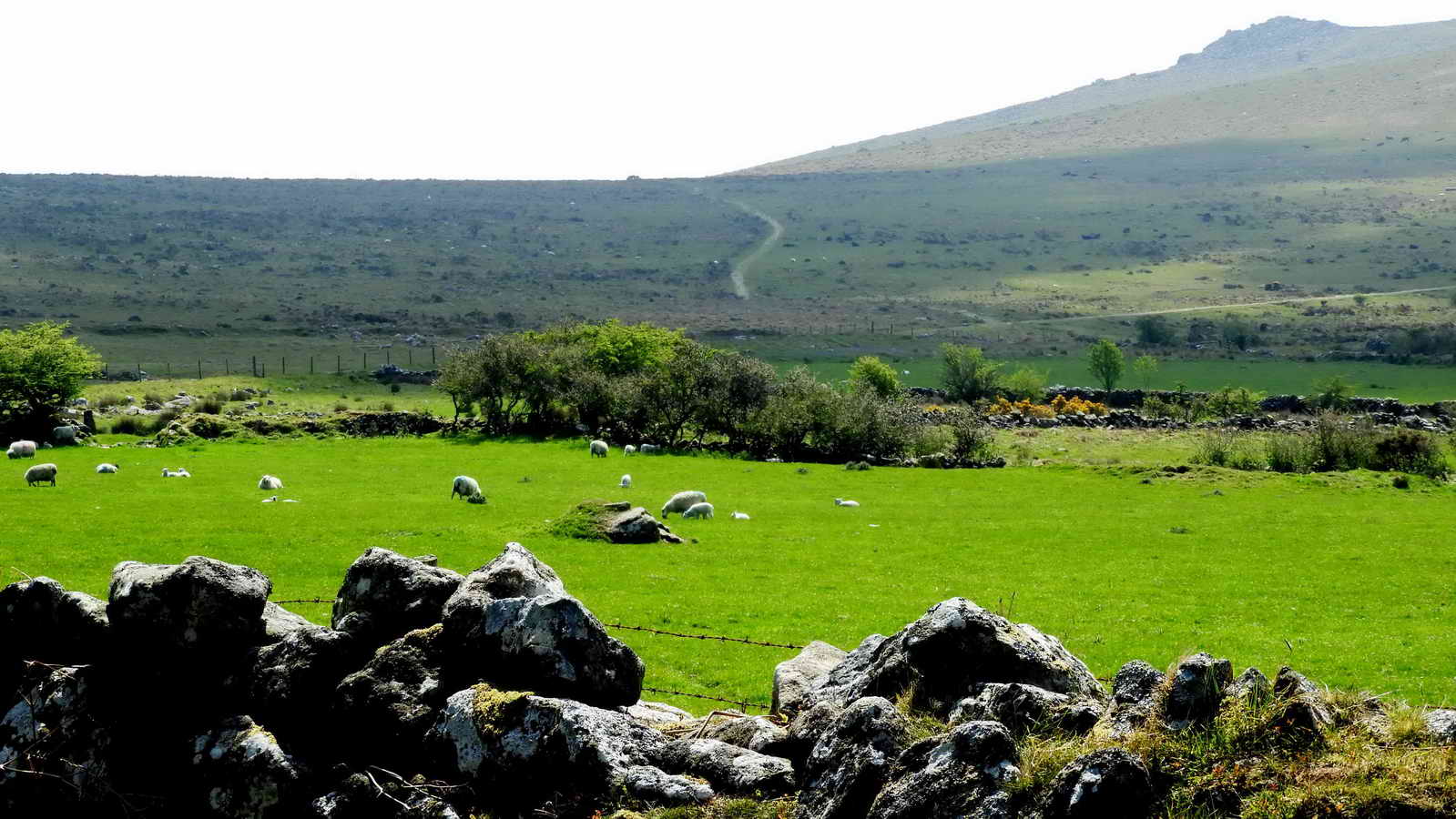 Looking over the wall to the private land of Routrundle