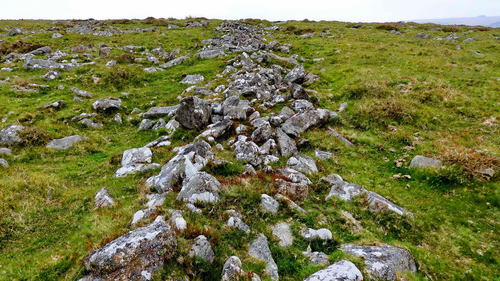 Standing on Walkhampton Common East Reave, looking uphill towards Leeden Tor