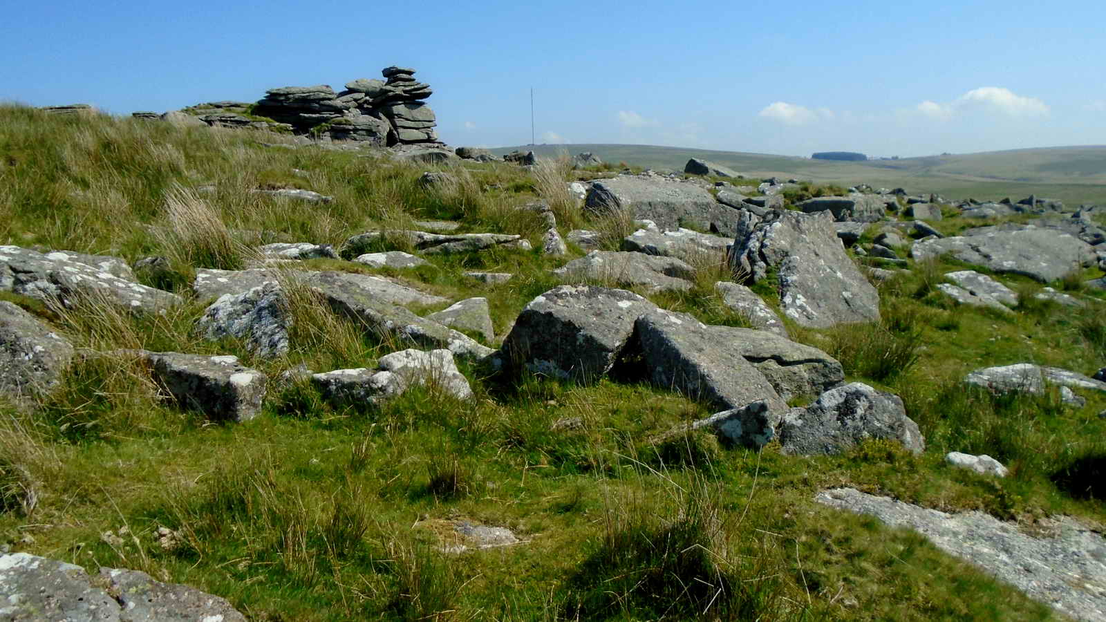 Amongst the granite clitter of Leeden Tor. Elevation 389 metres (1276 feet)