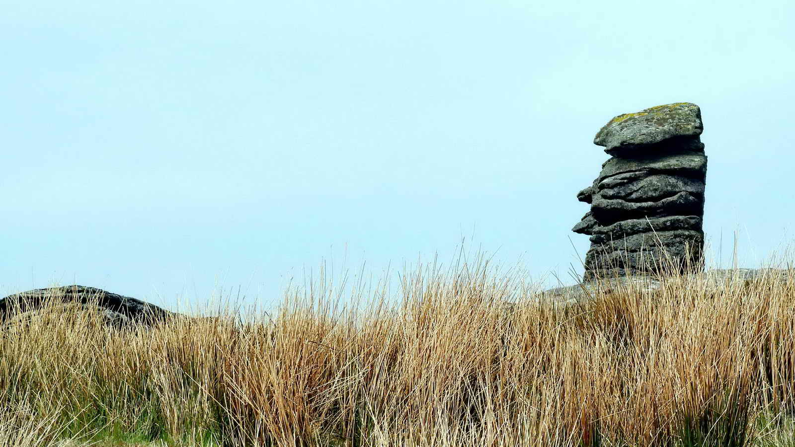 Leeden Tor. A smaller and less famous rival for Bowerman’s Nose