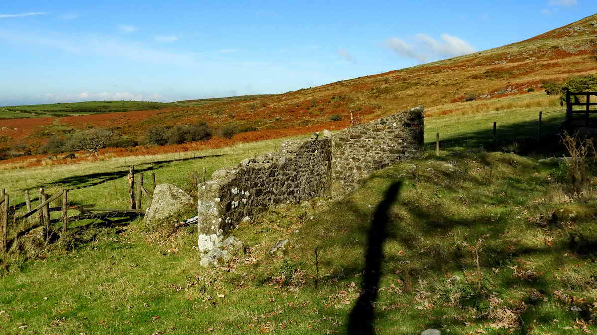 Part of the Calf House