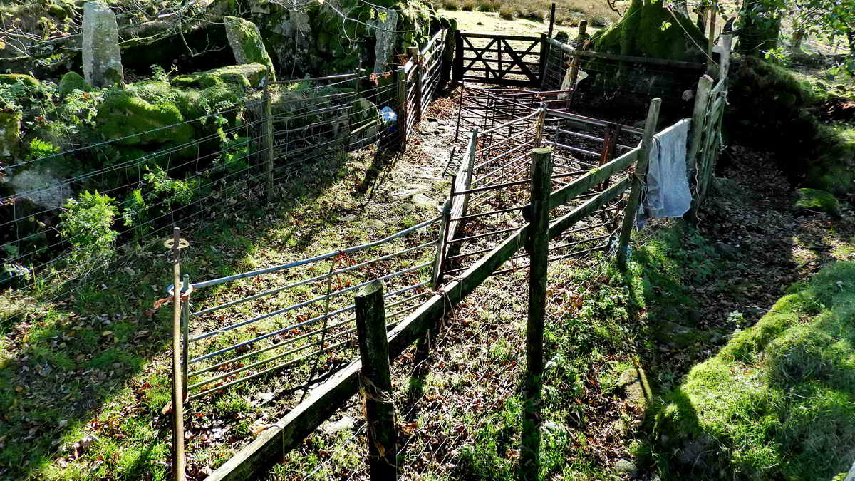 The “Lane” out to the moor"