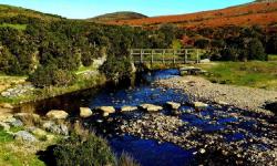 Featured image of post Lydford High Down to Doe Tor Farm Ruins