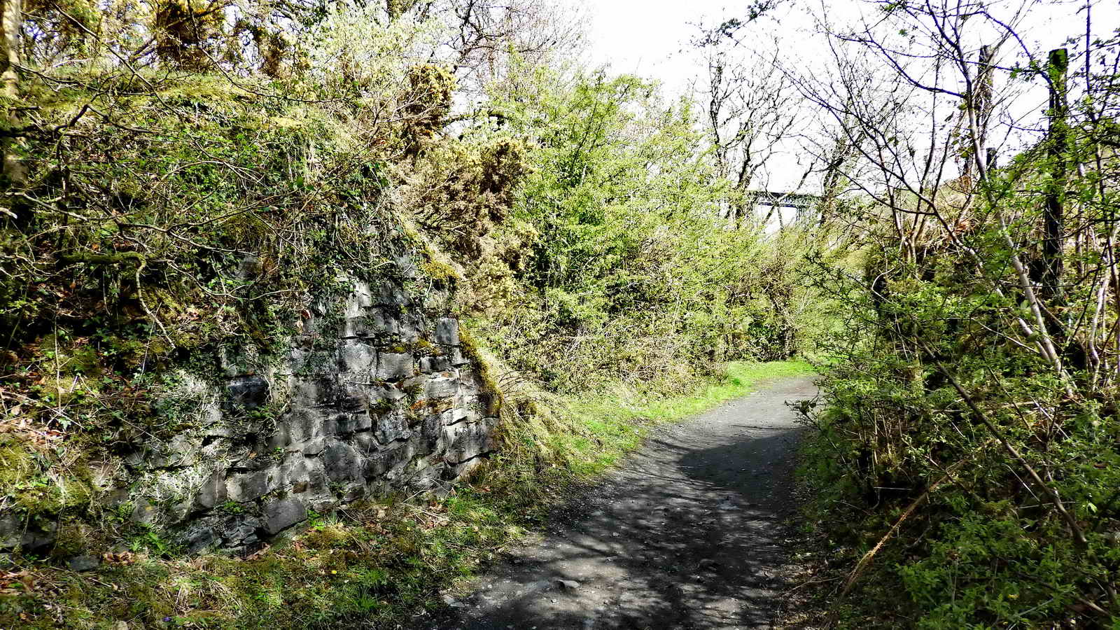 Abutments each side of the track