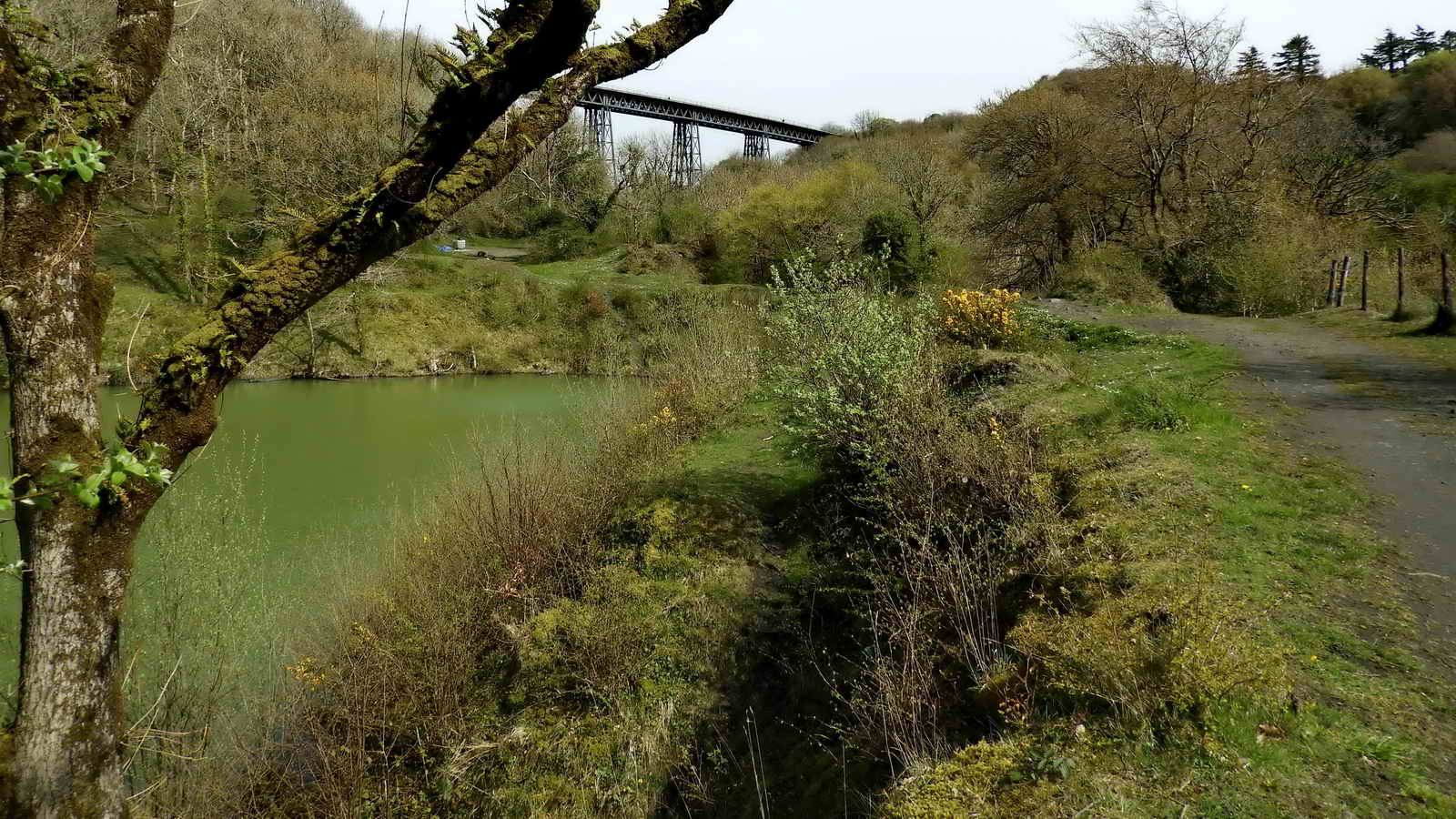 Meldon Pool - peaceful now