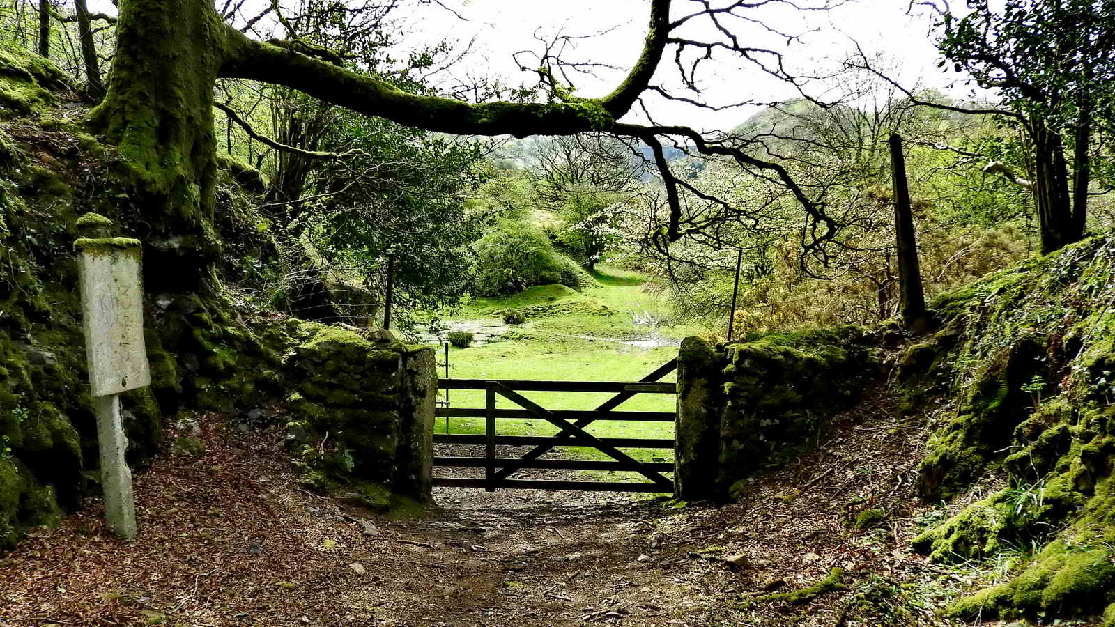 Gate off the road at SX 56485 92328 - go through here