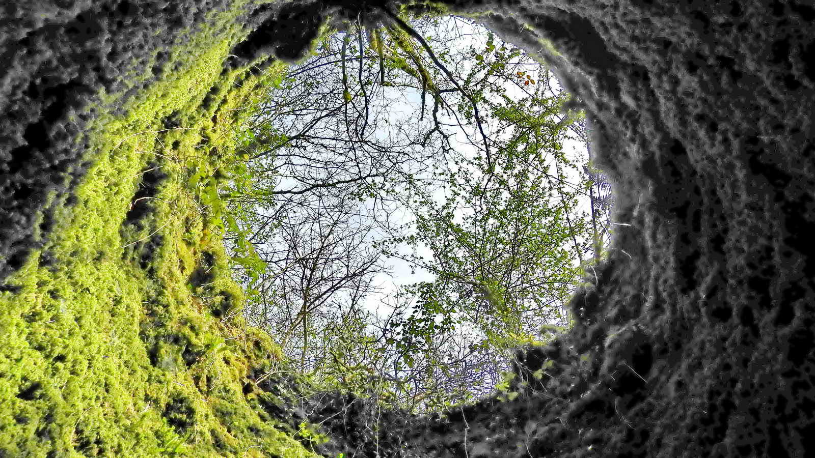 The view up the “well” or “chimney” where the charge of layers of limestone and charcoal would have been tipped before burning