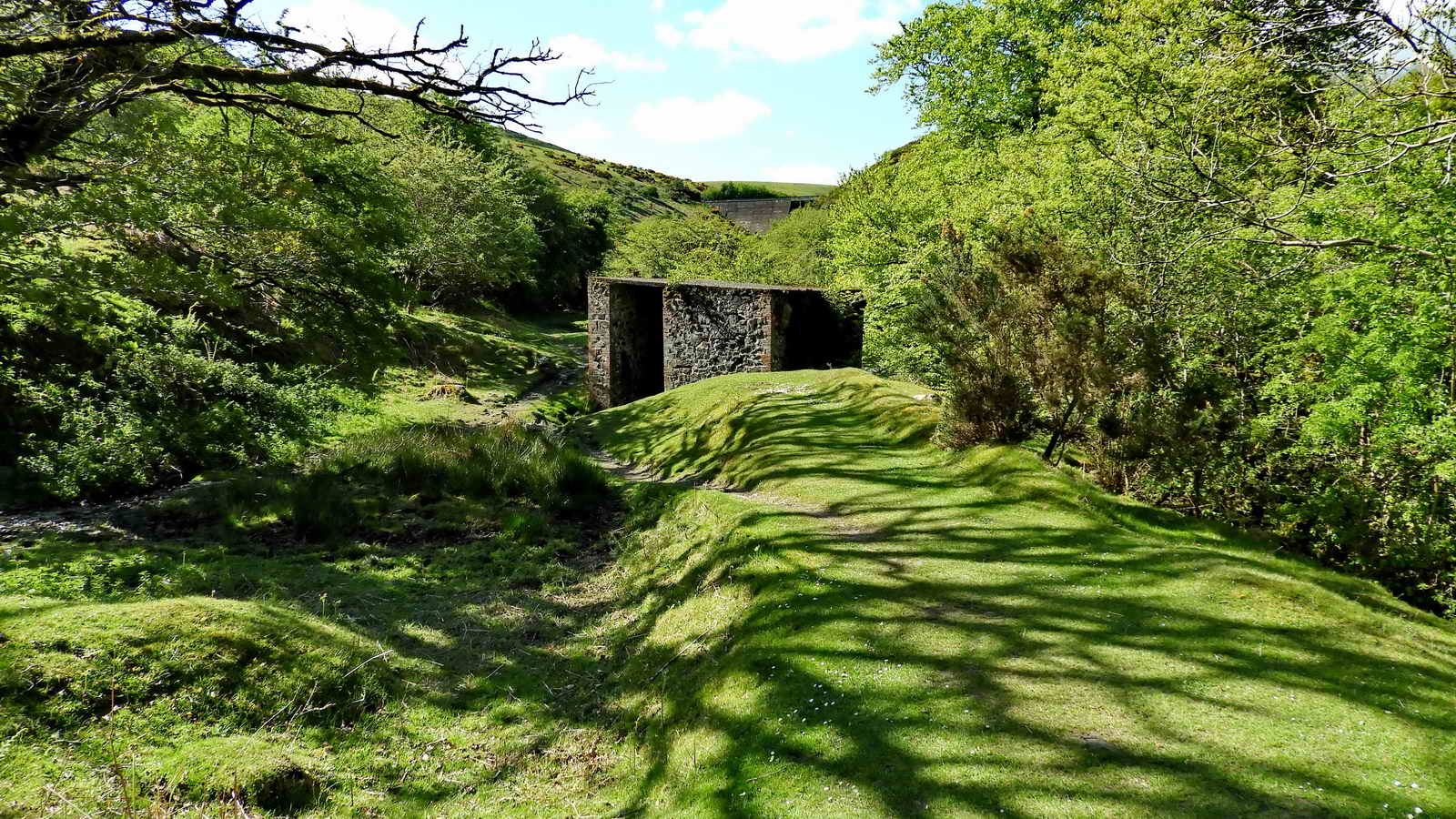 A small stone and brick building on the east bank of the river, at SX 56476 92166, is the Turbine House that provided electricity for the quarry