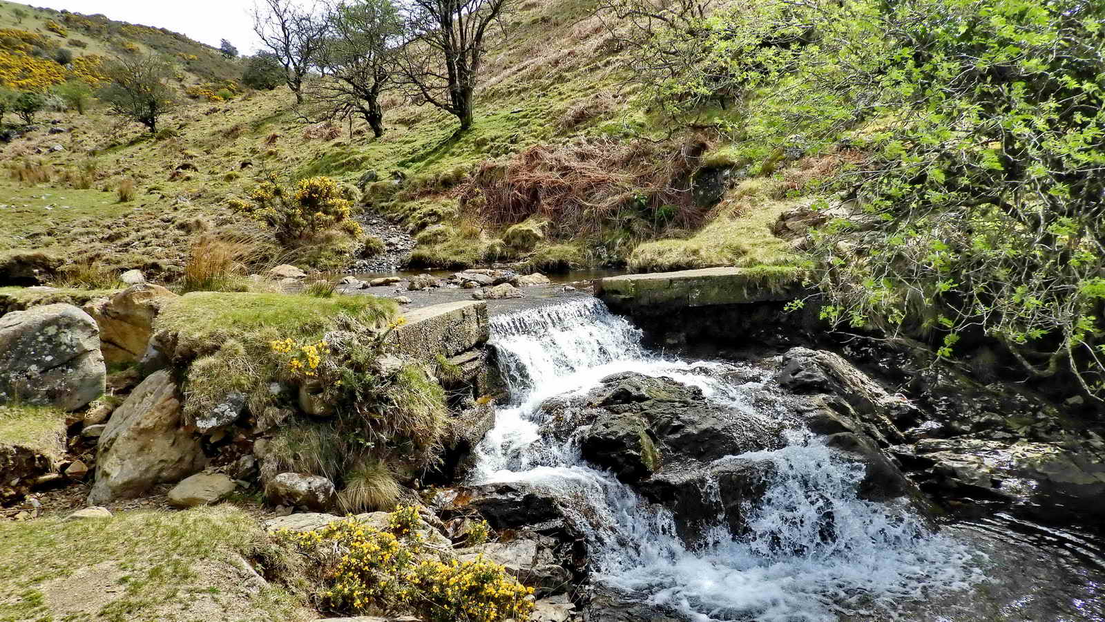 The Red-a-Ven Brook and possible take-off for the turbine