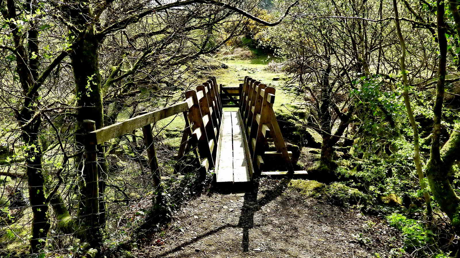 Wooden footbridge at SX 56427 920833, over the West Okement River