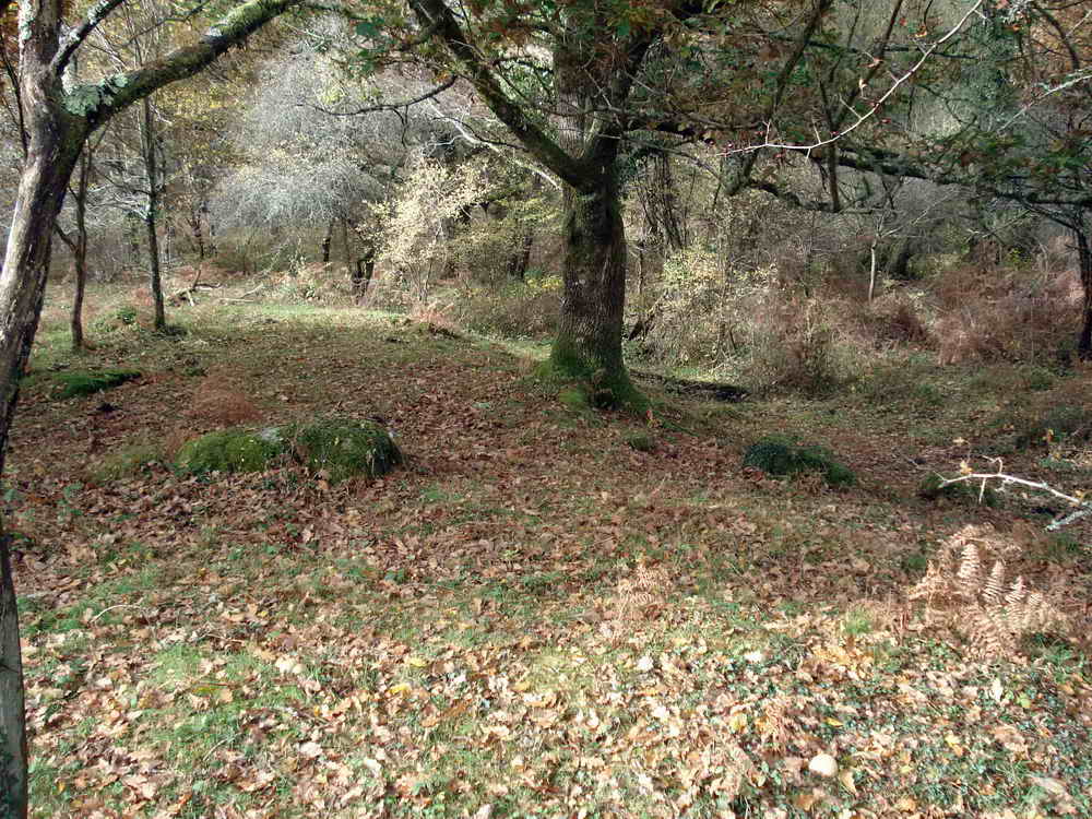 There are two ramparts and a central ditch that mark the Iron Age Pound