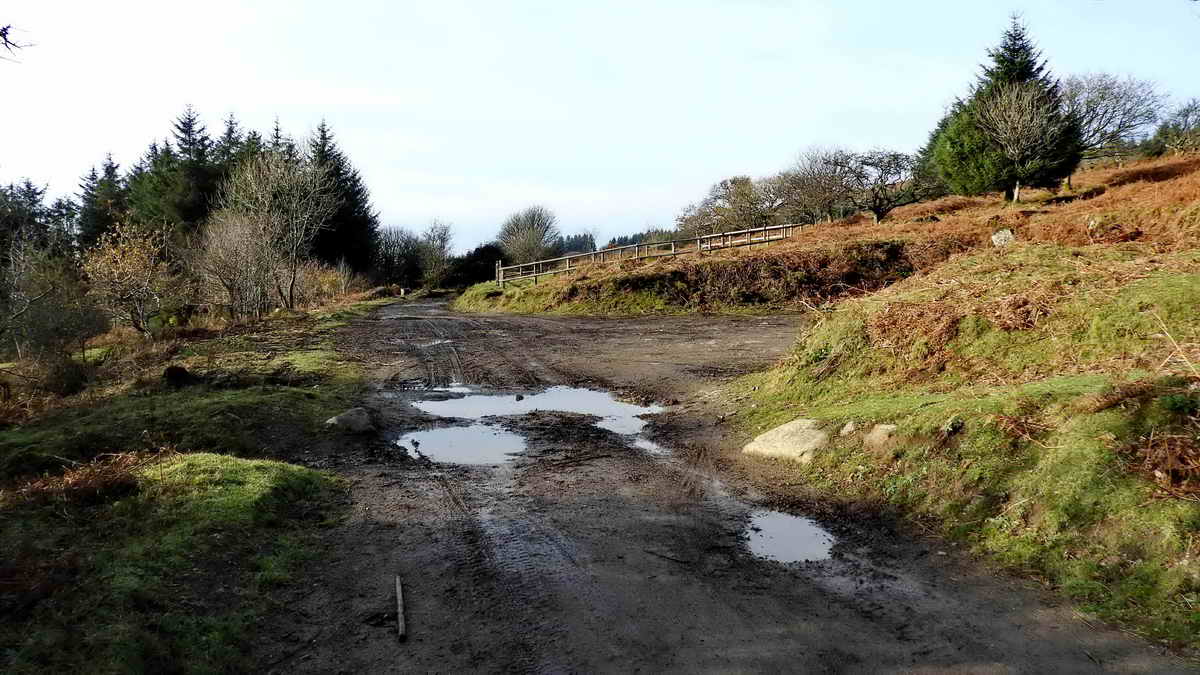 Looking towards Cross Gate, where there is an old cross, possibly incorporating part of the missing Leathertor Cross; the wooden fencing on the right is around Cross Gate cairn and cist