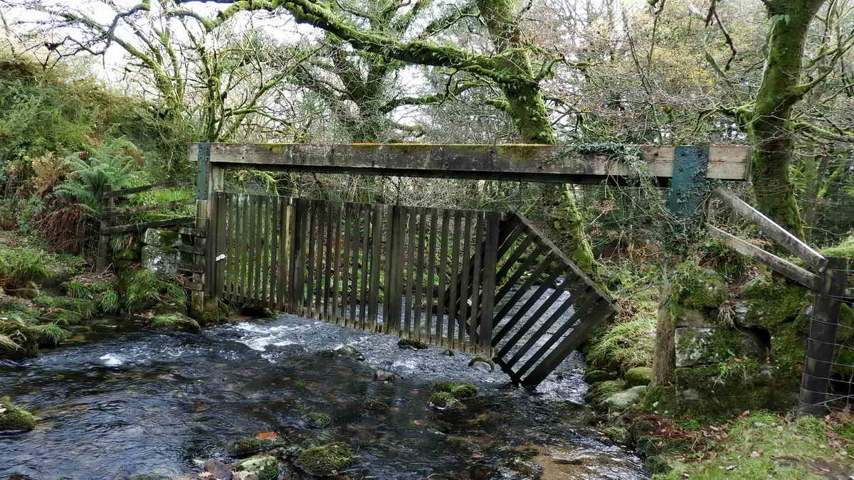 A barrier to prevent animals gaining access to the lake area