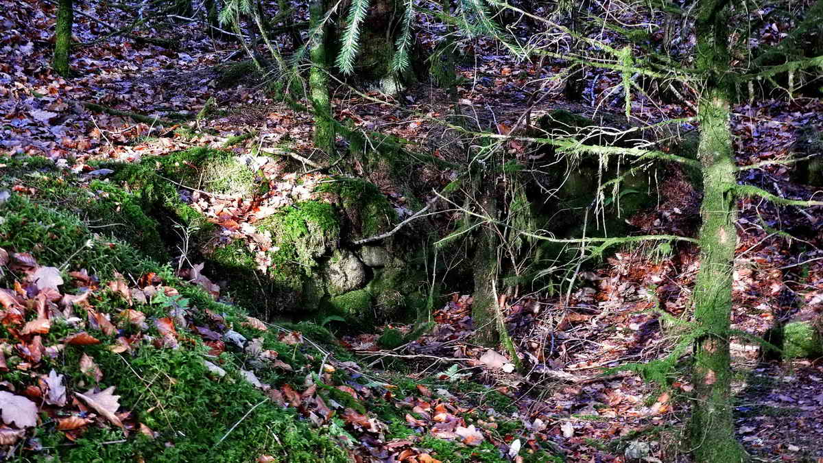 A ruined “blowing house” (probably just a tin mill with no equipment for smelting) is recorded at SX 56732 69416, this being Norsworthy Bridge Mill on the Legendary Dartmoor - Tin Mills web page (allowing for a small variation in the GPS coordinates) The significance of the year 1750 is that this is an “old” tin mill: this was the year when tin production finally ceased on Dartmoor - true underground mining started later