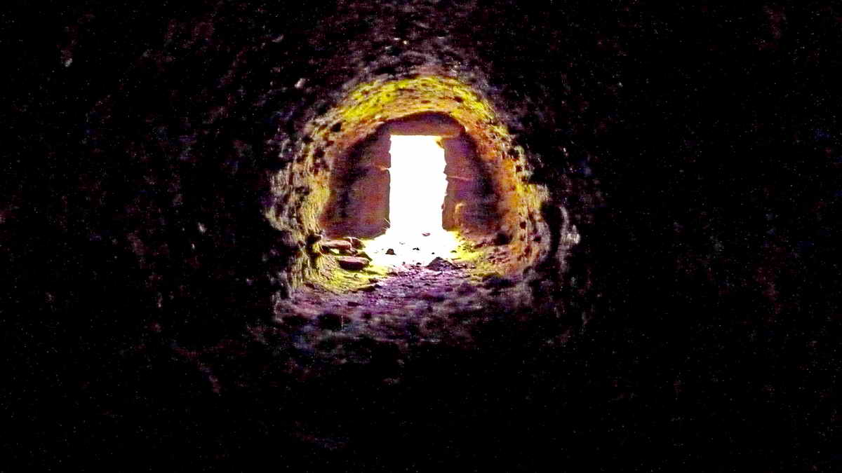 View from the rear of the cave, natural light. Note the restricted zone inside the cave entrance where there is enough natural light for green plant life