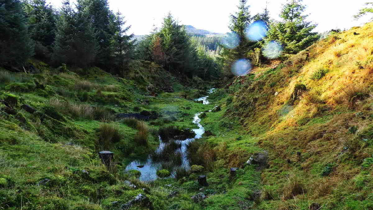 Turning around and looking down the mining gert ….. “Riddipit openworks. Part of Keaglesborough Mine”