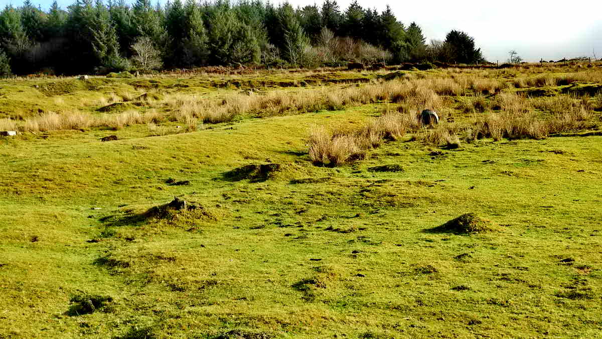 The leat embankment on the lower dressing floor