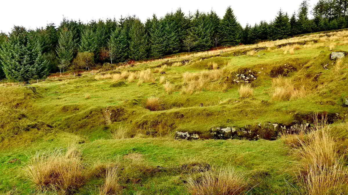 Looking across the wheelpit to the far side of which is the silted up settling pit. Beyond that is the area where there were two square buddles