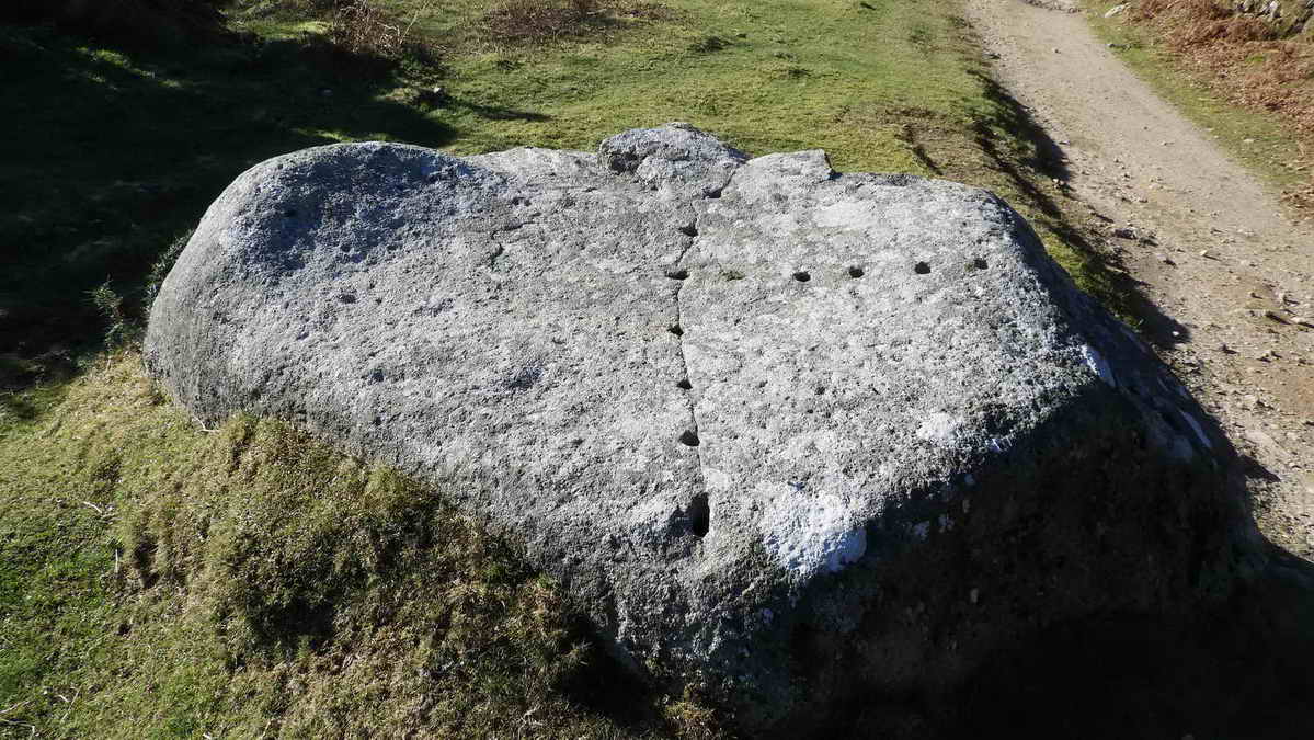 Tare and feathers stone, beside the track at SX 56990 69490, where someone drilled the stone and inserted sets of feathers, separated by hammering in a tare (metal chisel piece) to apply steady pressure until the rock cracked, which it did in part. This method of cutting granite was introduced around 1800 AD