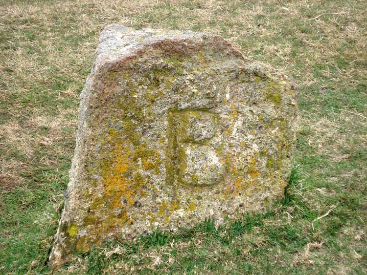 Boundary stone, marked “BS” on the map, at SX 54465 89498. The “B” signifies “Bridestowe”