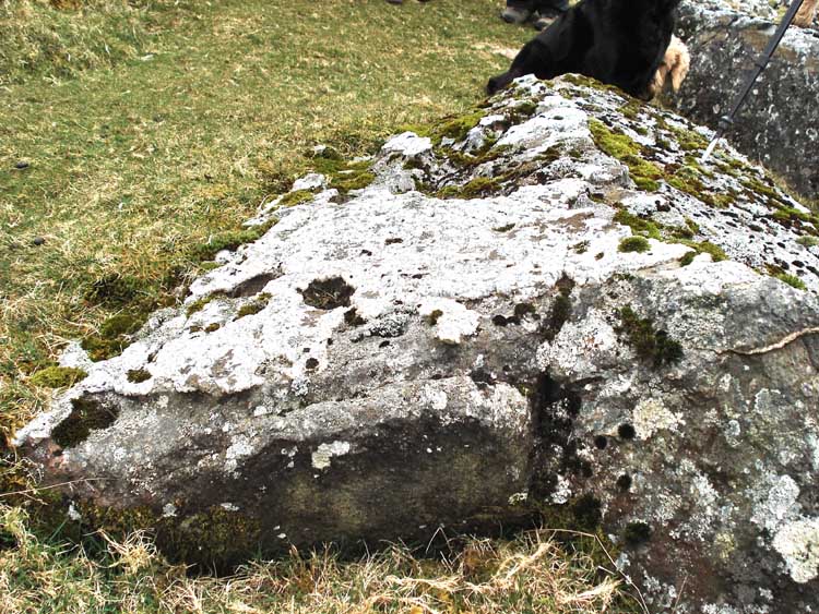 A rock with a thick layer of quartz