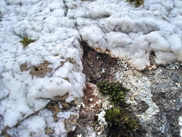 Close up of same rock