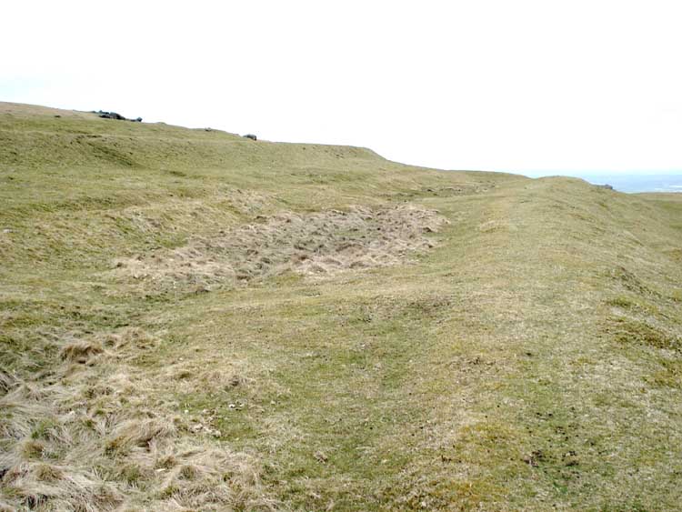 Remains of some of the ponds where the ice was made