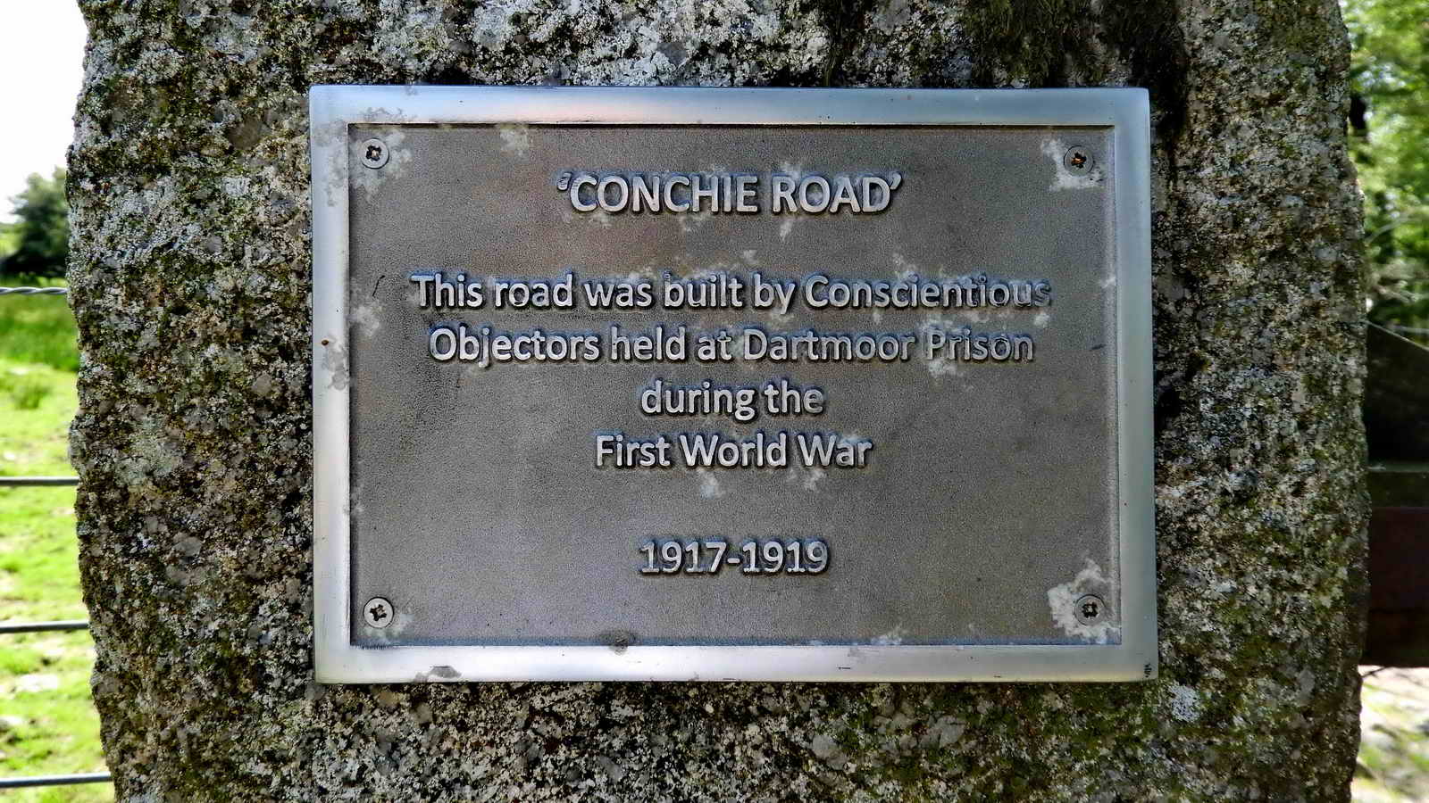 The plaque