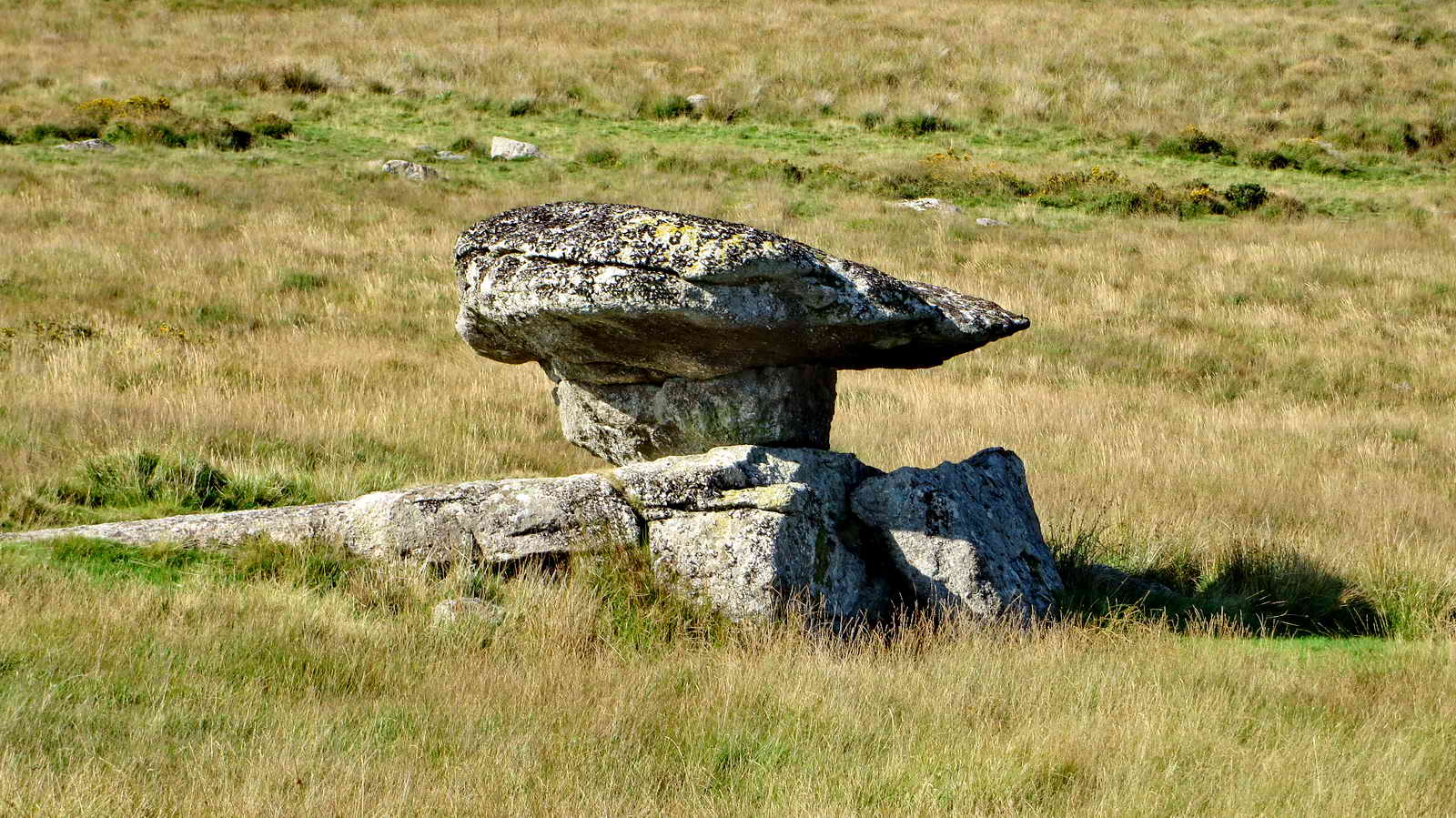 Zoomed view from the tor - is it a Logan Stone?