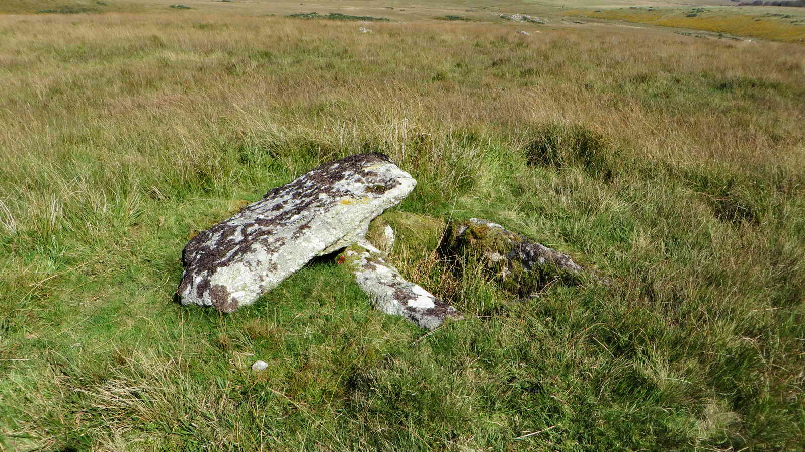 Blakey Tor East Cist SX 61306 73550 (Cist 1 in the diagram below)