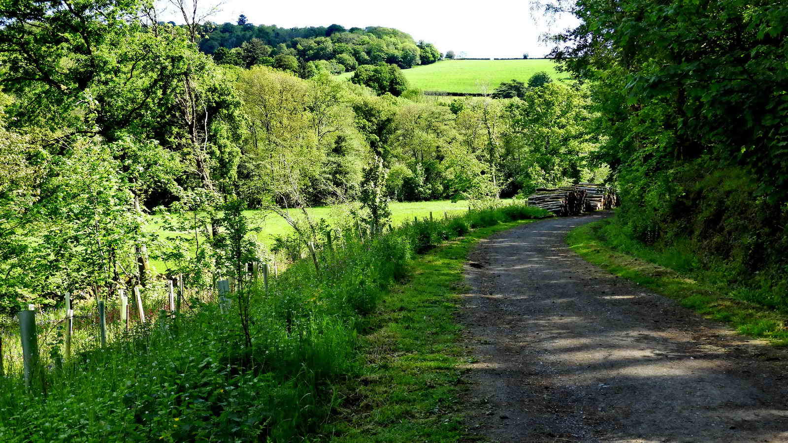 Looking back along the track, with a flood plain of the River Bovey to the left