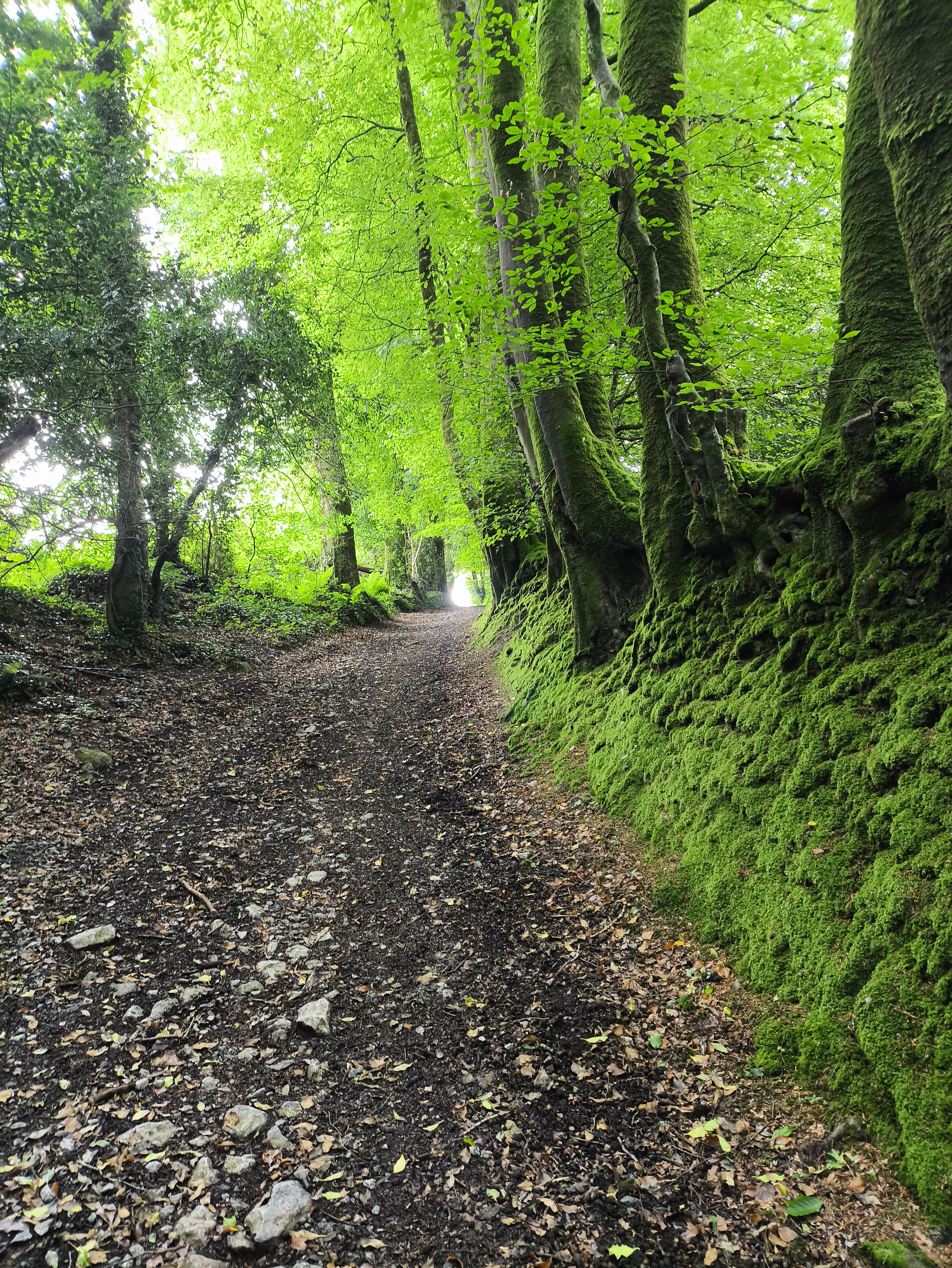 Little John’s Walk