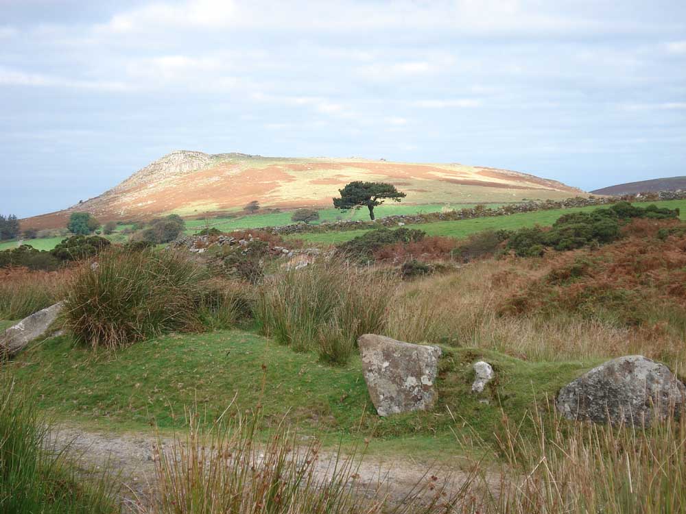 Sheeps Tor from near the car park. Elevation 369 meters (1210 feet)