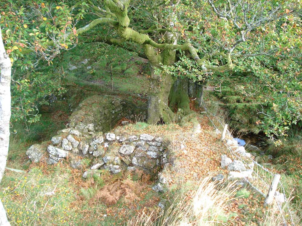 Shaft, with Oak tree growing out of it