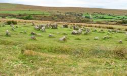 Featured image of post Sheepstor Stone Circles