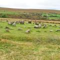 Sheepstor Stone Circles