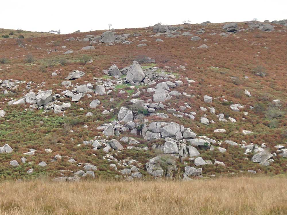 Cuckoo Rock to the North East of the cist. At SX 58470 68723