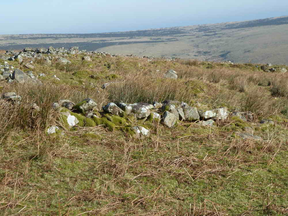 Hut circles inside the enclosure