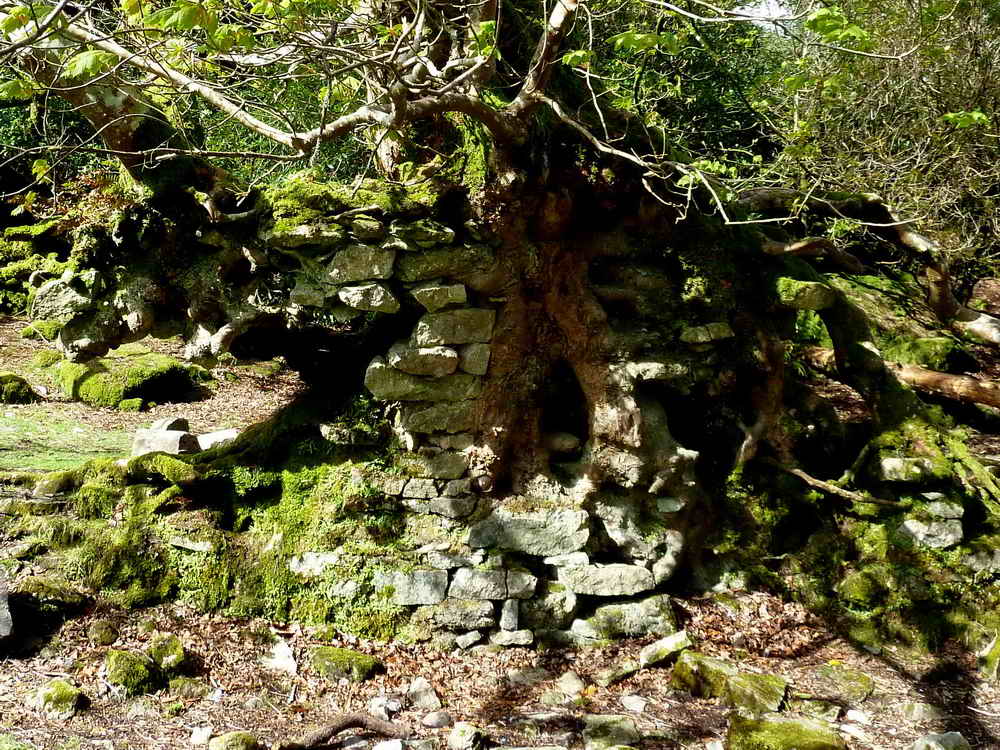 Remains of an old wall at Brentmoor House