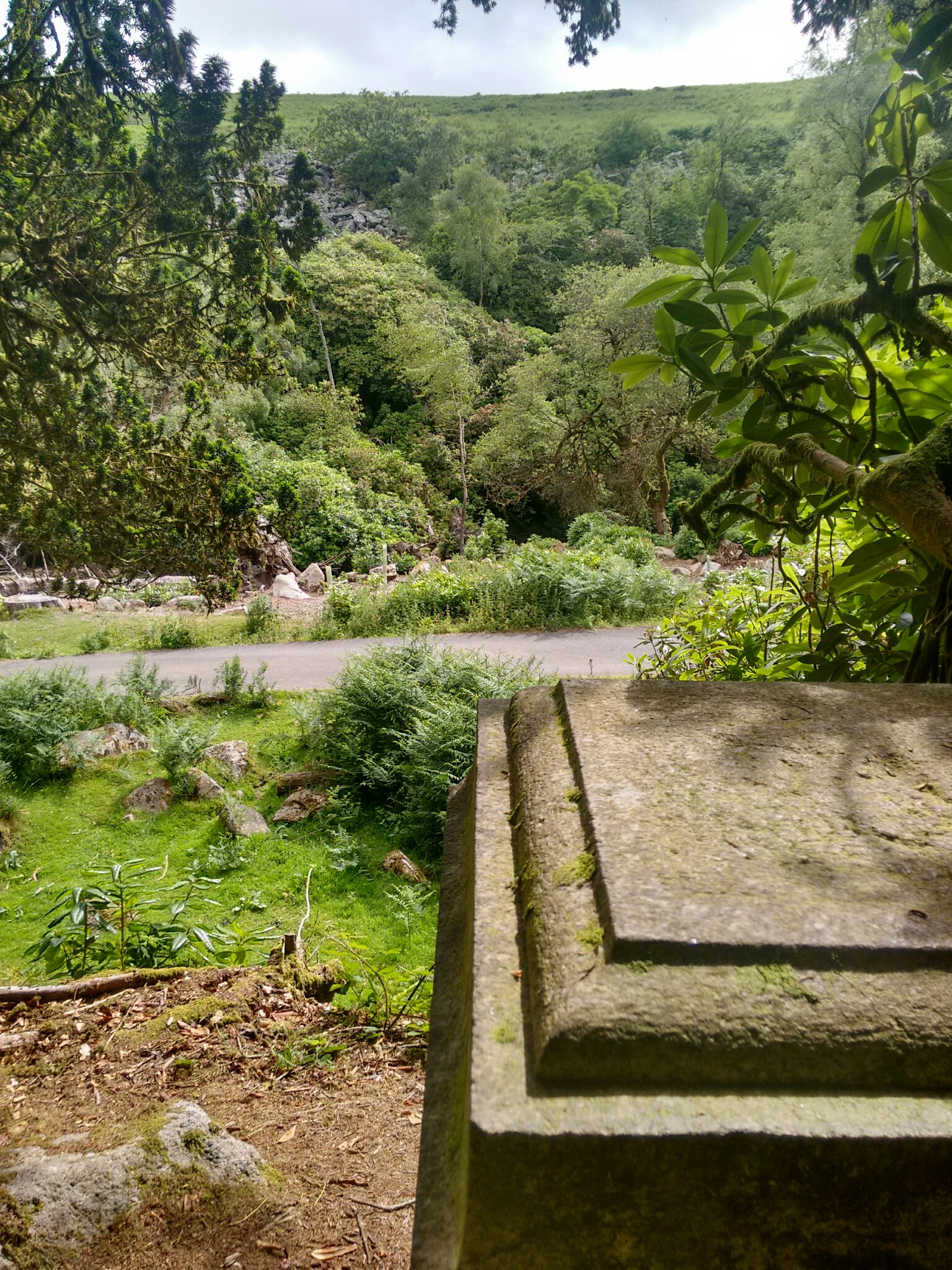 Looking out from behind the memorial