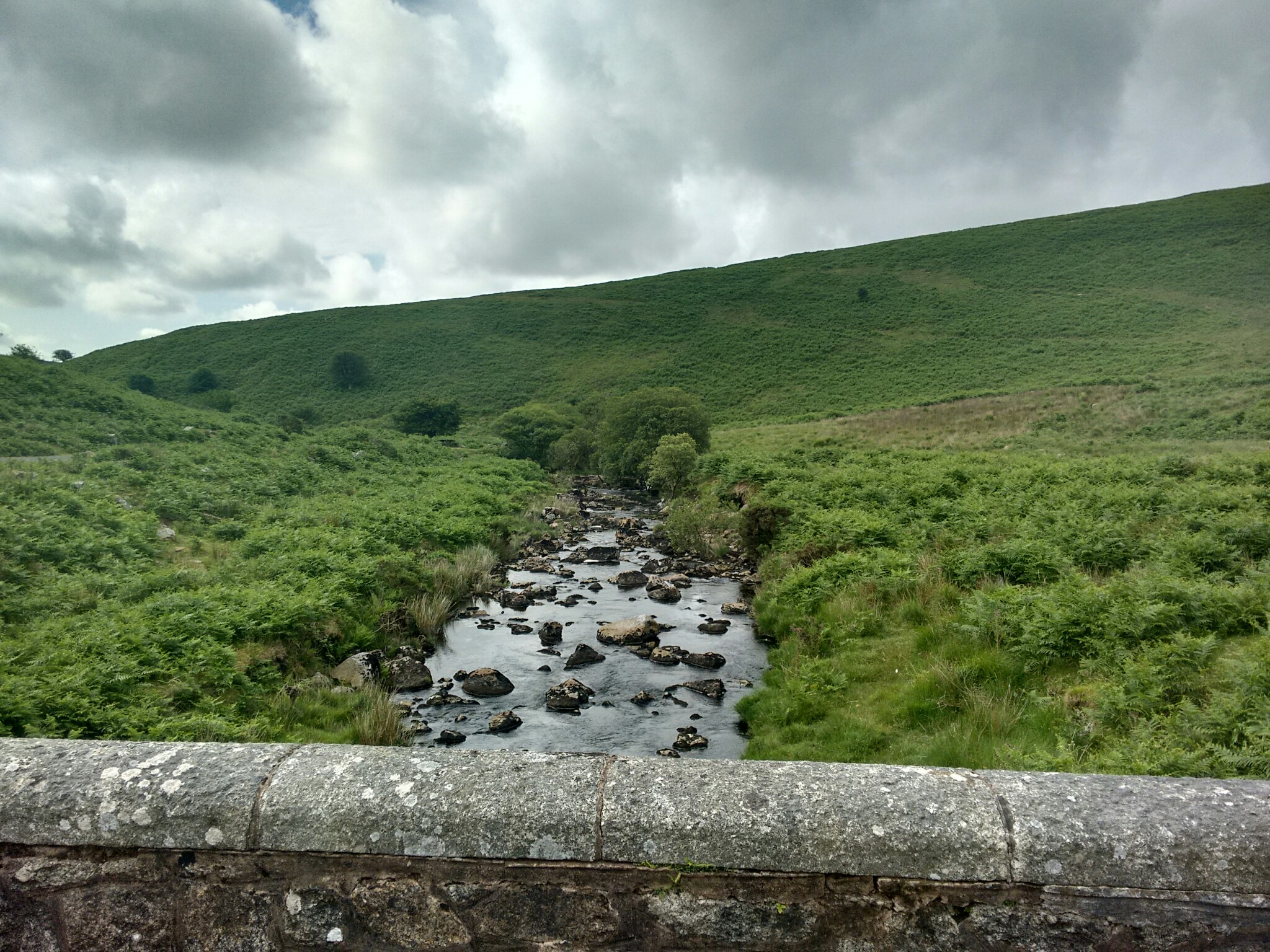 Looking downstream from the stone bridge just below the Dam