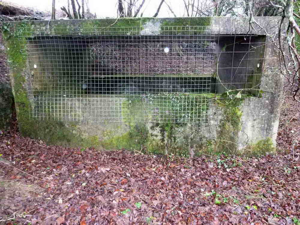 A shaft of Devon United Mine which had north, central and south sections