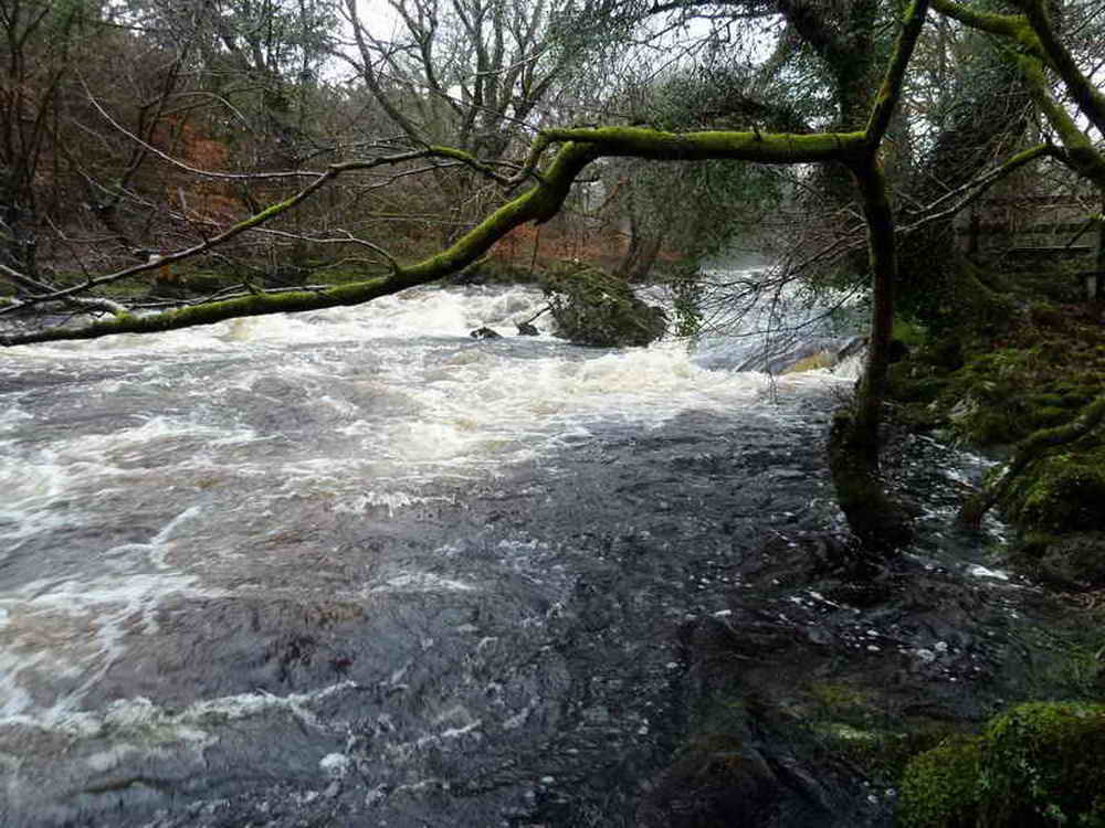 The River Tavy